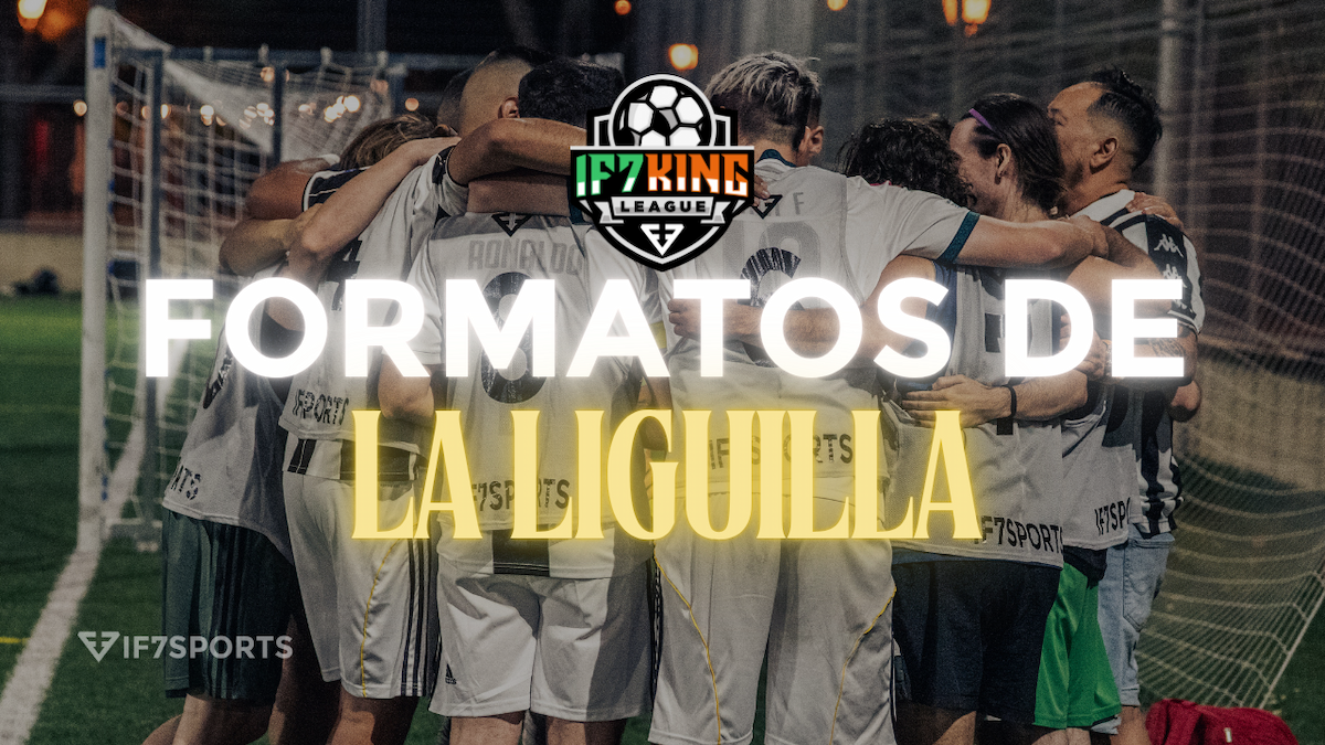 Formatos de la liguilla